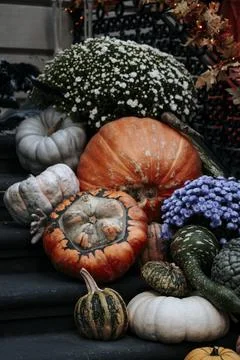 Fall Still Life with pumpkins on a front of the house against colorful Stock Photos