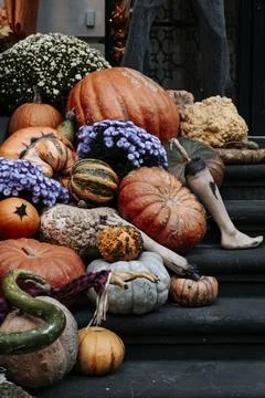 Fall Still Life with pumpkins on a front of the house against colorful Stock Photos