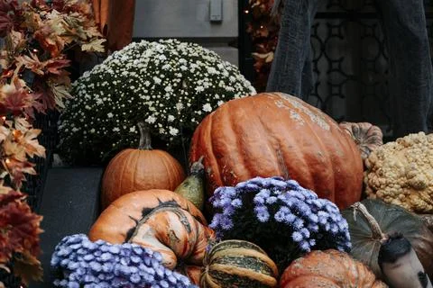 Fall Still Life with pumpkins on a front of the house against colorful Stock Photos