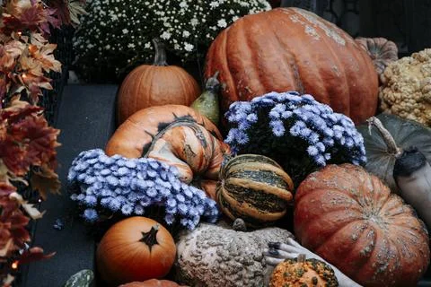 Fall Still Life with pumpkins on a front of the house against colorful Stock Photos
