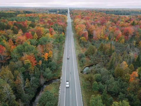 Fall Straight road Stock Photos
