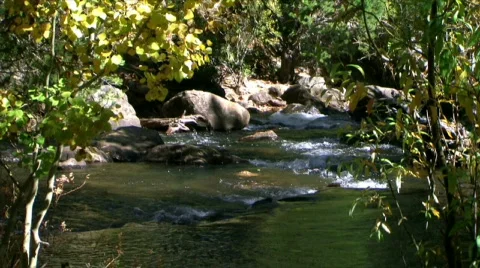 Fall Stream Stock Footage 283864