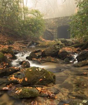 Fall stream in the mountains during fall color Foto stock