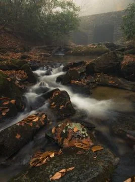 Fall stream in the mountains during fall color Stock Photos
