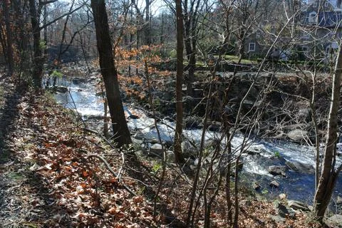 Fall stream in Pennypack Park Stock Photos