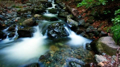 Fall stream 스톡 사진