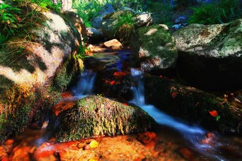 Fall stream Stock Photos