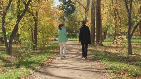 Fall stroll harmony. Couple walks beneath amber leaves. Lovers chat calmly on Stock Footage 330425420