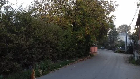 Fall in the Suburbs streets 1 Stock Photos