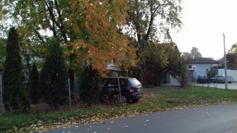 Fall in the Suburbs streets 5 Stock Photos