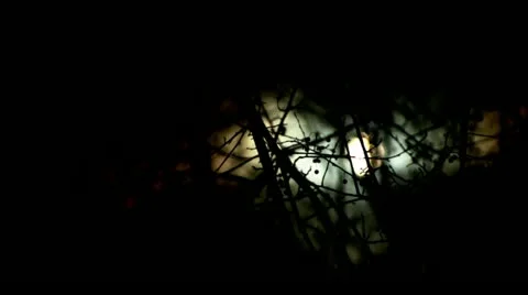 Fall sun clouds Video stock 12439988