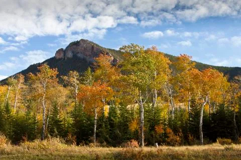 Fall in Sun Light Basin Stock Photos
