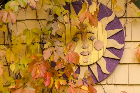 Fall sun Stock Photos