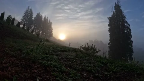Fall-Sun Rising In The Mist Video stock 214236176