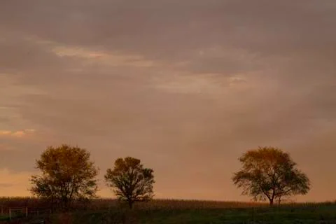 Fall sun set. Stock Photos