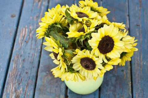 Fall sunflowers Stock Photos