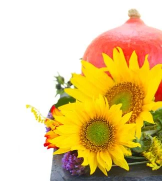 Fall sunflowers with pumpkin Stock Photos