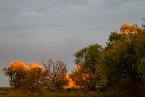 Fall sunset and foliage. Stock Photos