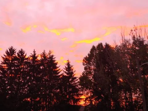 Fall sunset 스톡 사진