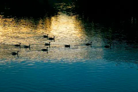 Fall sunset on the river. Stock Photos