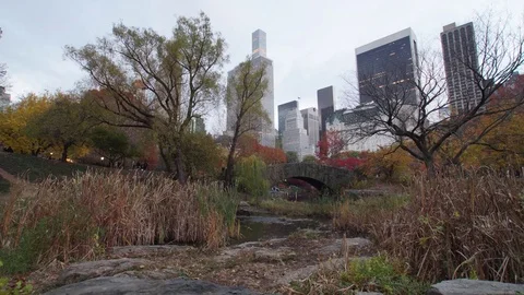 Fall Sunset Time-lapse in Central Park Stock Footage 70100730