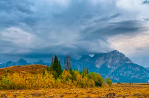 Fall in the tetons Stock Photos
