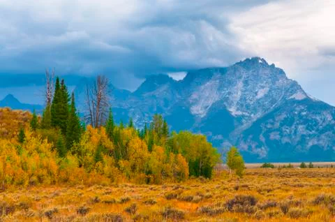 Fall in the tetons Stock Photos