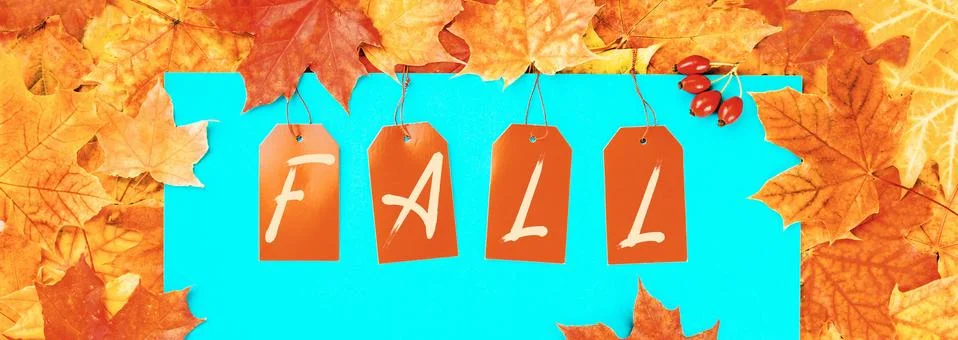 Fall text with maple leaves background banner Stock Photos