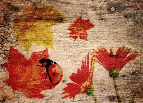 Fall theme  background Stock Photos