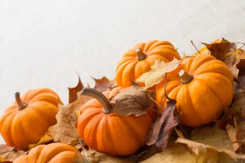 Fall themed pumpkin background border Stock Photos