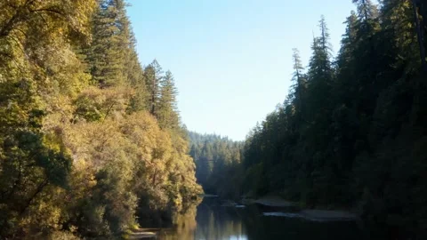 Fall Time Aerial Drone Shot through Redwood National Forest 4K Stock Footage 146548037
