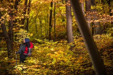 Fall Time Backpacking in a Forest.  Stock Photos