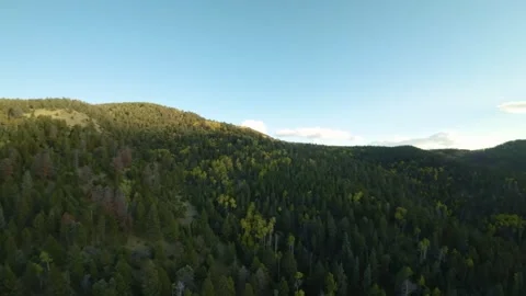 Fall time Flight through the LaVeta Pass in the Colorado Rockies 動画素材 255452275