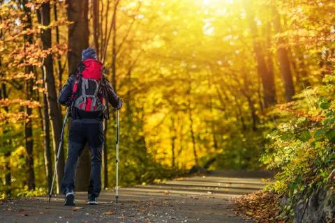 Fall Time Forest Trekking.  Stock Photos