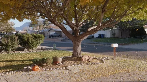 Fall Time Leaves Falling onto a Drive Way Stock Footage 100306553