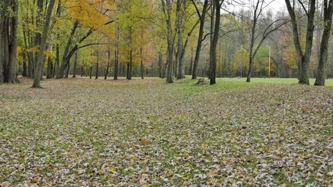 Fall Time in the Park Kids Running Autumn Stock Footage 82148532