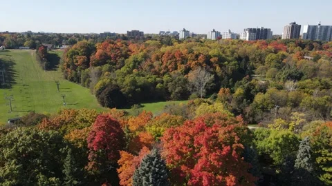 Fall in Toronto no1 Stock Footage 288797073