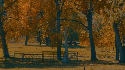 Fall Tractor Stock-Footage 83671452