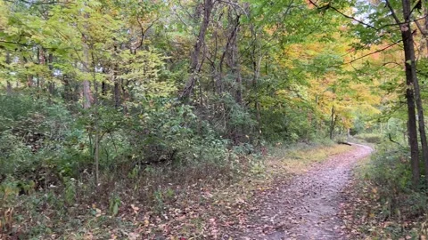Fall Trail Stock Footage 219293676