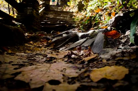 Fall Trail Stock Photos