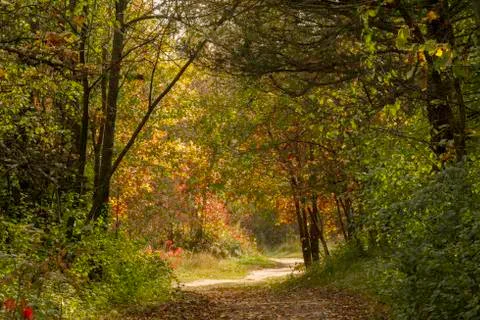 Fall Trail Stock Photos