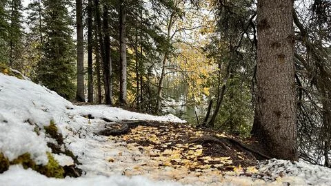 Fall Trail 库存照片