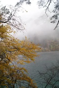 Fall tree and the lake Stock Photos