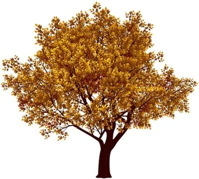 Fall tree Stock-Illustration
