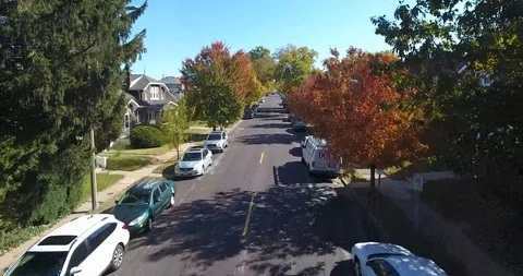 Fall Trees (4k Drone) 1/8 Video stock 119081076