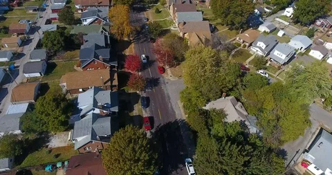 Fall Trees (4k Drone) 2/8 Video stock 119081073