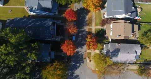 Fall Trees (4K Drone) 4/8 Video stock 119081067