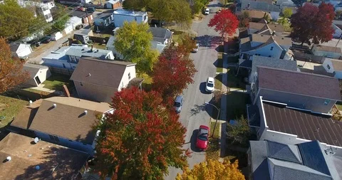 Fall Trees (4K Drone) 5/8 Video stock 119081065