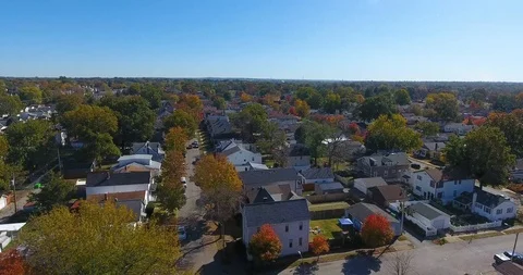 Fall Trees (4k Drone) 6/8 Video stock 119081068