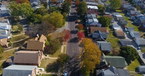 Fall Trees (4K Drone) 7/8 Video stock 119081069